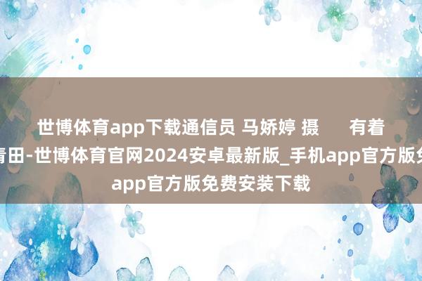 世博体育app下载通信员 马娇婷 摄      有着侨乡之称的青田-世博体育官网2024安卓最新版_手机app官方版免费安装下载