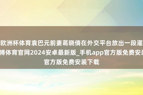 欧洲杯体育袁巴元前妻葛晓倩在外交平台放出一段灌音-世博体育官网2024安卓最新版_手机app官方版免费安装下载