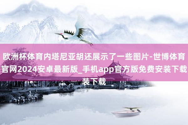 欧洲杯体育内塔尼亚胡还展示了一些图片-世博体育官网2024安卓最新版_手机app官方版免费安装下载