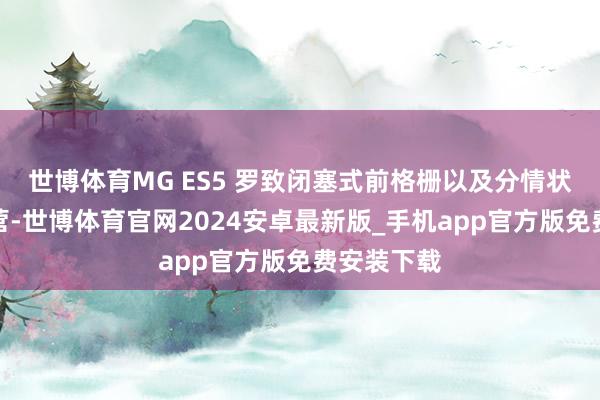 世博体育MG ES5 罗致闭塞式前格栅以及分情状大灯组经营-世博体育官网2024安卓最新版_手机app官方版免费安装下载