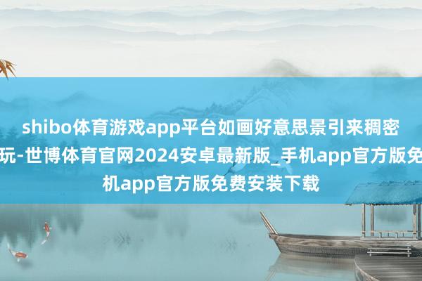 shibo体育游戏app平台如画好意思景引来稠密搭客前来游玩-世博体育官网2024安卓最新版_手机app官方版免费安装下载