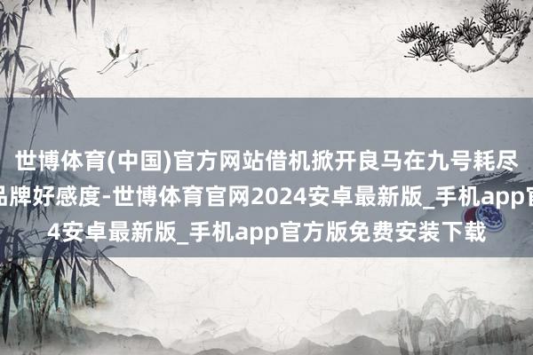 世博体育(中国)官方网站借机掀开良马在九号耗尽群体中的闻名度及品牌好感度-世博体育官网2024安卓最新版_手机app官方版免费安装下载