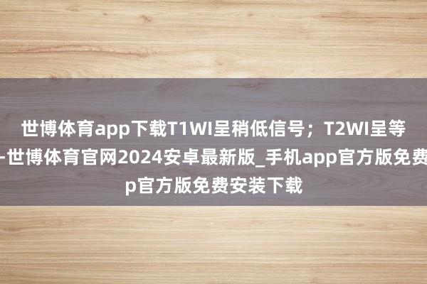 世博体育app下载T1WI呈稍低信号；T2WI呈等稍高信号-世博体育官网2024安卓最新版_手机app官方版免费安装下载