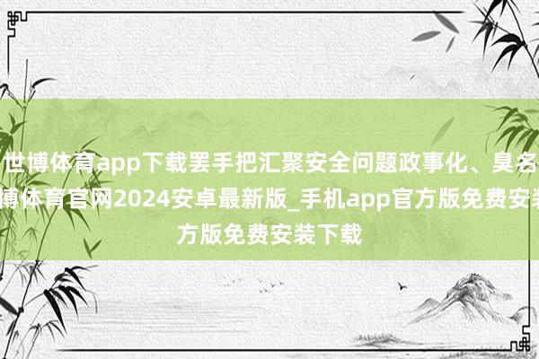 世博体育app下载罢手把汇聚安全问题政事化、臭名化-世博体育官网2024安卓最新版_手机app官方版免费安装下载